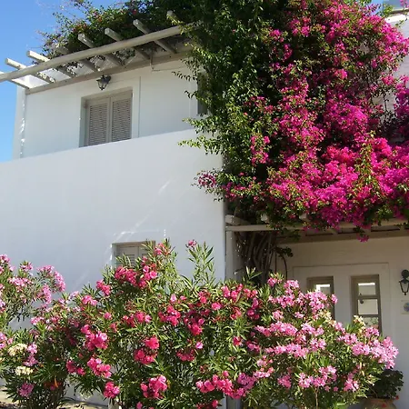 Hotel Despinas And Naousa (Paros)
